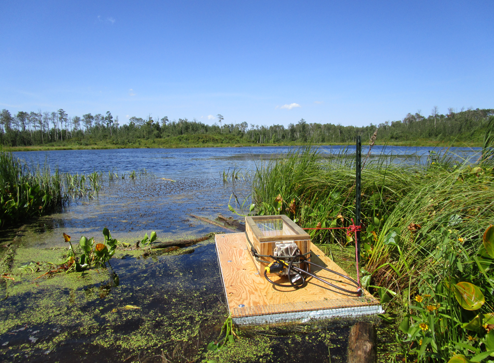 Camera raft used by Dr. Glynnis Hood to detect species of semi-aquatic mammals in the Biosphere