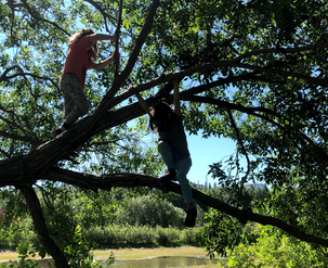 Family forest adventuring.