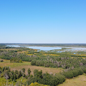 Aerial view of Golden Ranches in the Beaver Hills Biosphere.