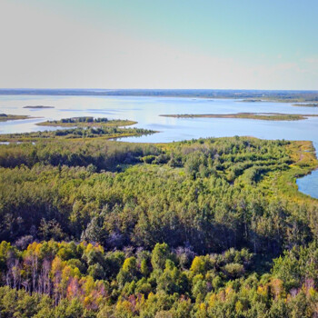 Aerial view from Maggie's Hill in the Beaver Hills Biosphere.