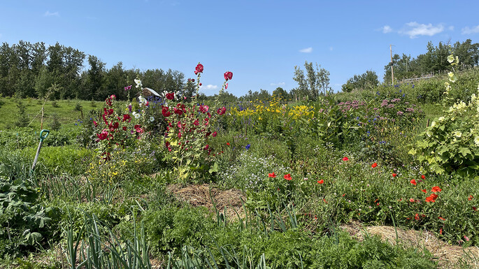 A small sample of the many diverse plants on Lucien and Judith's property.