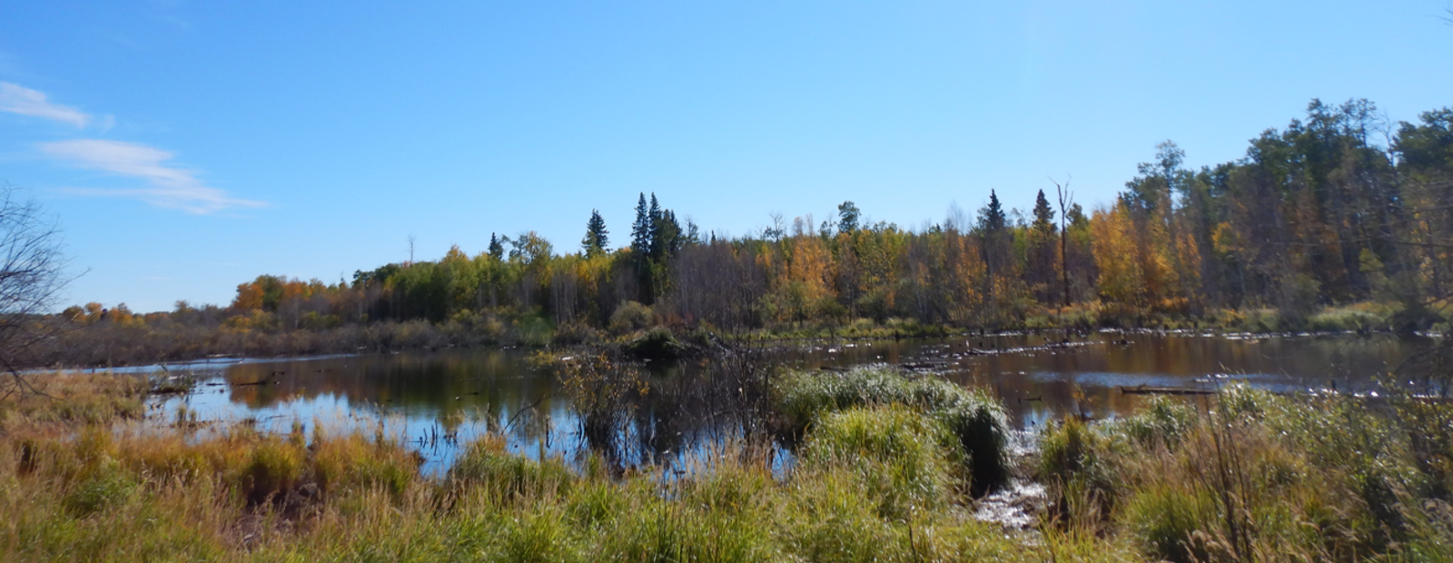 Beaver Hills Biosphere Wetland Inventory