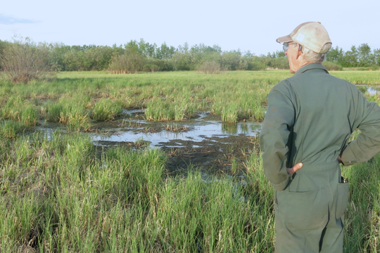 Kirk Harrold views a wetland habitat on the family farm.