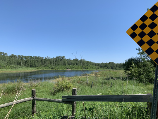 Bob also spent some time at Ministik Lake Game Bird Sanctuary in early July.